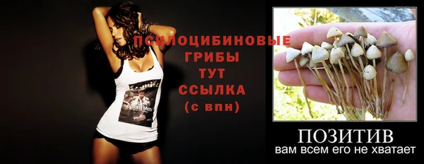 2c-b Алзамай