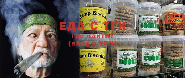spice Дмитриев