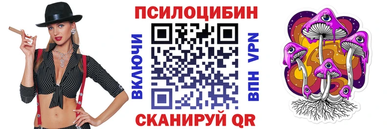 мега ссылка  Сясьстрой  Псилоцибиновые грибы Magic Shrooms 